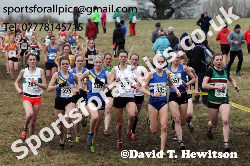 Senior women, 2018 Northern Cross Country Champs., Harewood House, Leeds. Photo: David T. Hewitson/Sports for All Pics